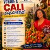 voyage cali popup 100x100